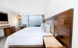 Oh! Cancun The Urban Oasis & Beach Club