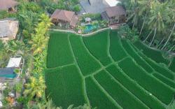 Gusde Tranquil Villas by EPS