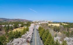 Kensington Resort Gyeongju