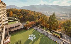 Kensington Resort Chungju