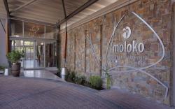 The Capital Moloko