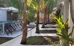 Palm Trees Villas