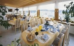 Auerhahn Bed and Breakfast - Black Forest - Waldhotel