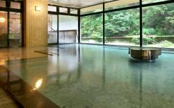 Ogawa Onsen Motoyu Hotel Ogawa