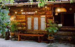 Bee Forest