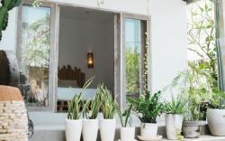 Cat Cow Villa A Place to Relax in Heart of Canggu 