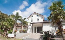 Native Sea Amami Adan on the Beach