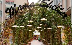 Mama Shelter Roma