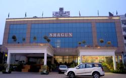 Hotel Shagun Chandigarh -Zirakpur