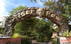 The Tiger Paw Resort