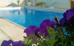 Hostal Orsi