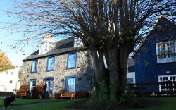 Lime Tree Hotel