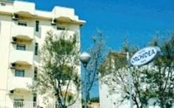Hotel Orchidea
