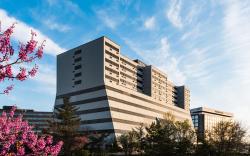 APA Hotel Woodbridge