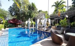 Capital O 464 At Nata Chiangmai Chic Jungle