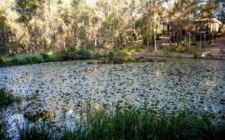 Mt Cotton Retreat