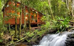 The Mouses House Rainforest Retreat