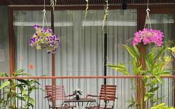Tam House Villa Hotel Deluxe room with balcony 3