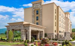 Hampton Inn & Suites Williamsport-Faxon Exit