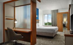 SpringHill Suites Pittsburgh Mt. Lebanon