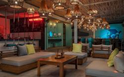 Mayan Monkey Los Cabos - Adults Only