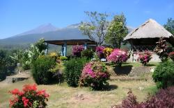 Pondok Senaru Lombok