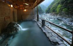 Wanoyado Hotel Iya Onsen Natural Hot Spring
