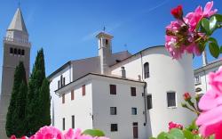 Rooms and Apartments Lisjak