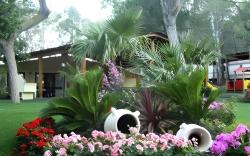 Villaggio Camping Golfo di Arzachena