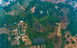 Syna Tiger Resort