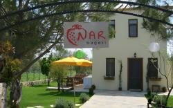 Nar Bagevi