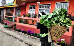 Sarika Homestay Sikkim