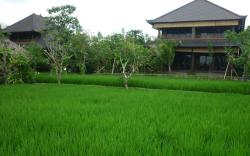 Bliss Spa Ubud Hotel