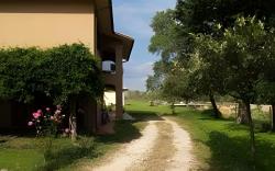Agriturismo Cavallin Del Bufalo