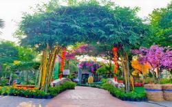 Thanh Dat Resort