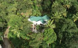 Coffee and Pepper Plantation Homestay