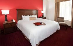 Hampton Inn & Suites Atlanta-Downtown