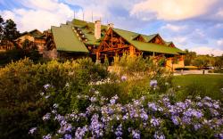 Disney's Wilderness Lodge