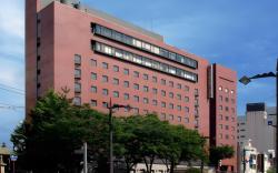 Toyama Manten Hotel