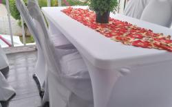 Pink Hibiscus Guest House