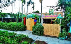 Flower & Frog Homestay