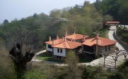 Kastania Gi