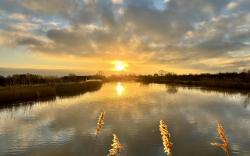 Lakeside Fishing Pods