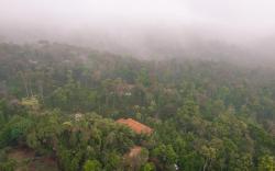 KINGMAKERS Plantation with river stream