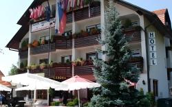 Hotel Krona Domzale