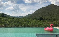 Hi - Scene Resort