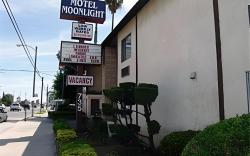 Motel Moonlight