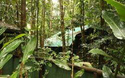 Daintree Crocodylus Village