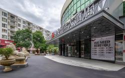 Borrman Hotel Nanning Heng County Jasmine