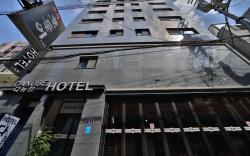 Busan Seomyeon Danube Hotel